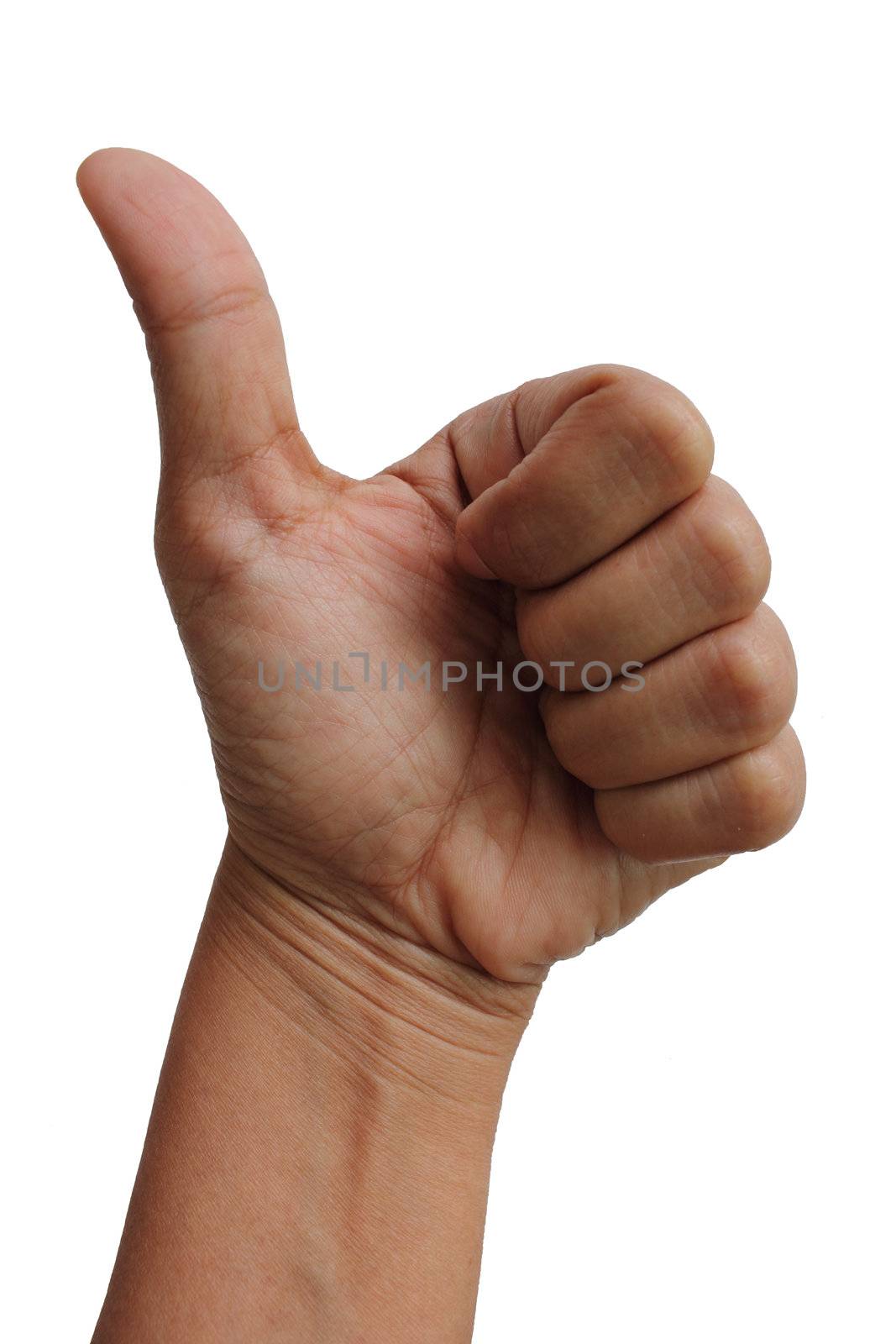 Thump Up Gesture (Expressing Satisfaction, Approvement, Success)