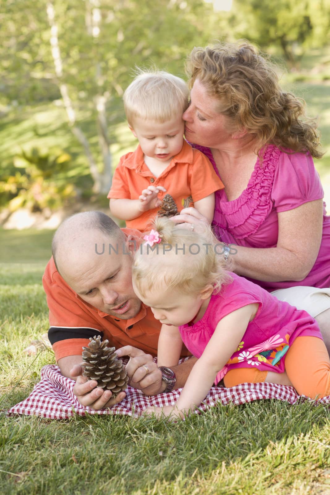 Young Family Talking about Pine Cones in Park by Feverpitched