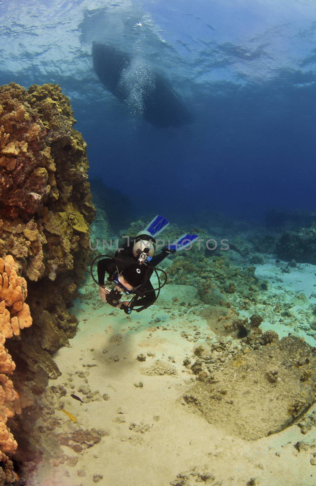 Scuba Diver exploring a reef in Kona Hawaii