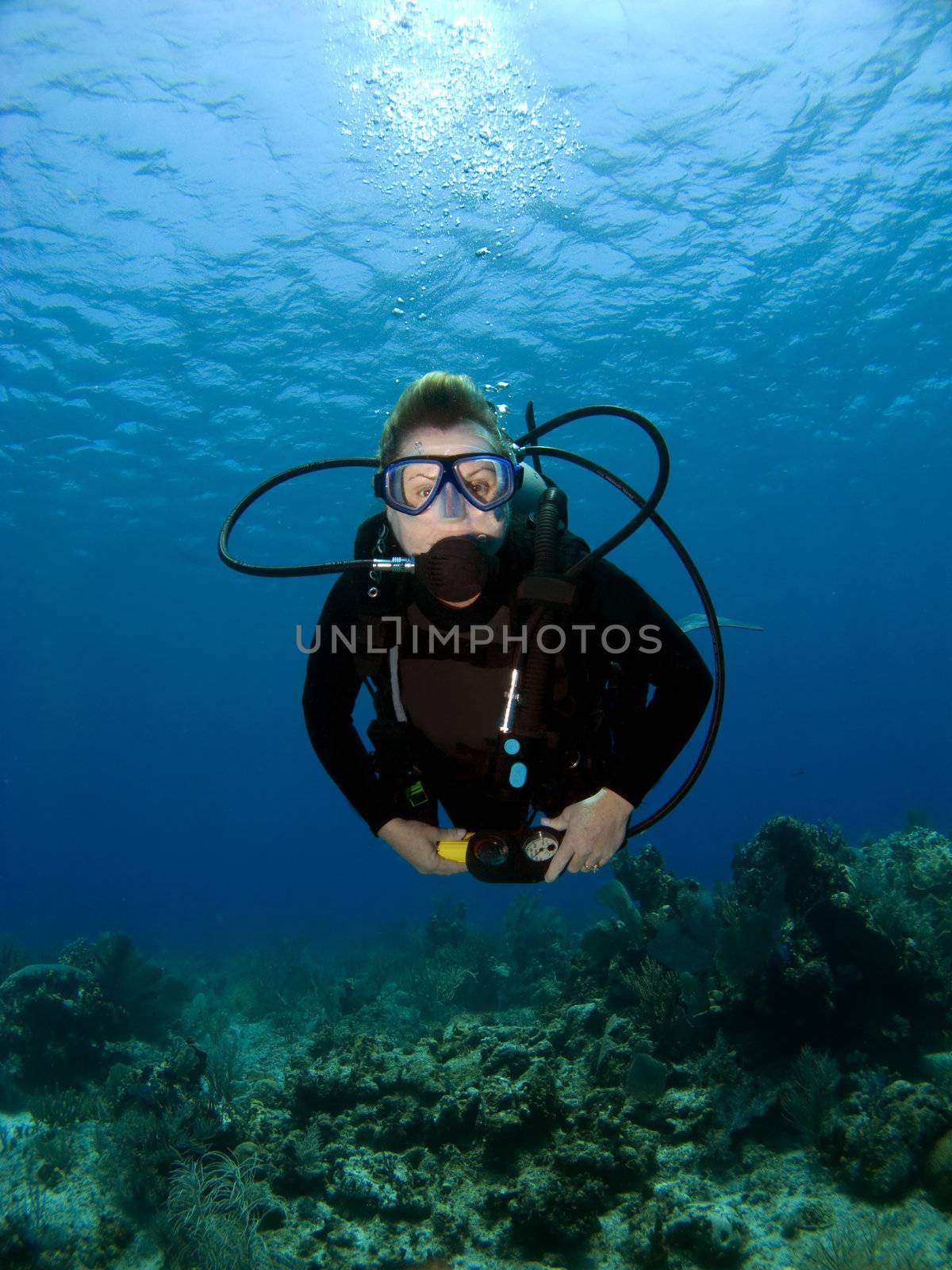 Diver looking into the Camera by KevinPanizza