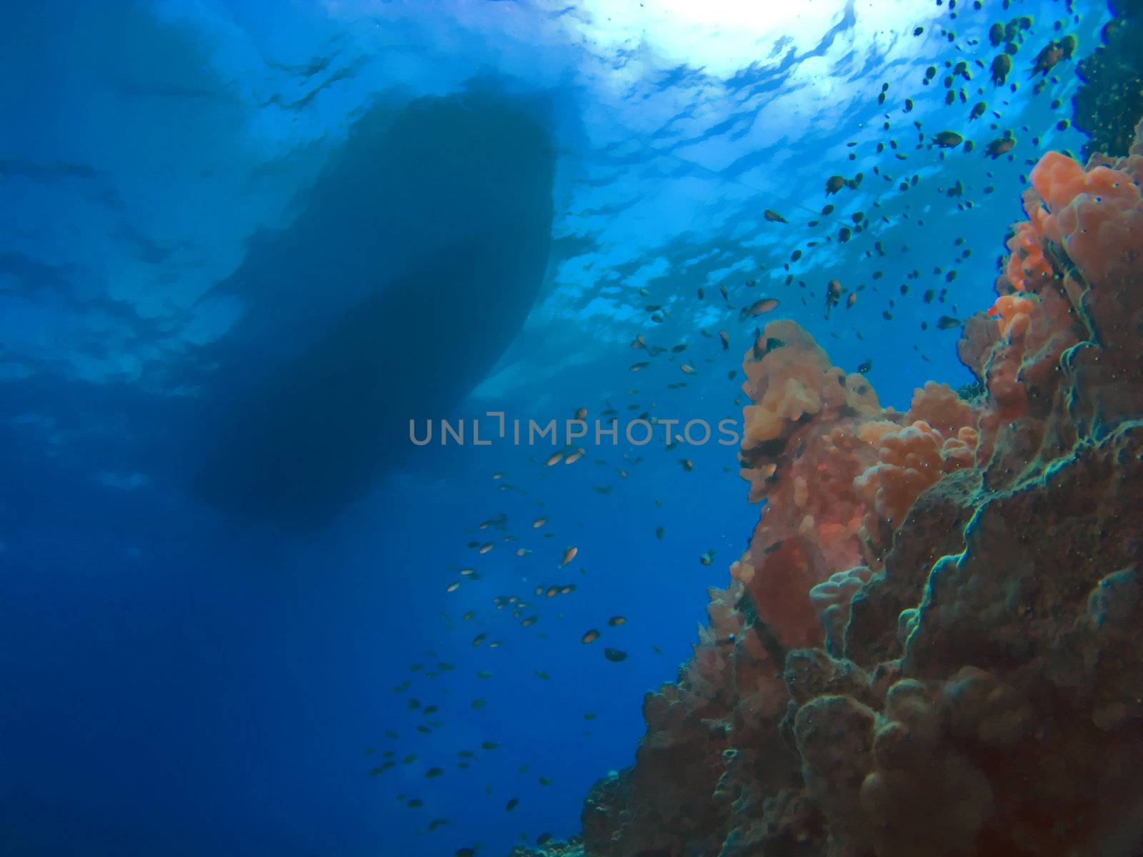 Fantasy Scuba Diving Boat and Reef by KevinPanizza