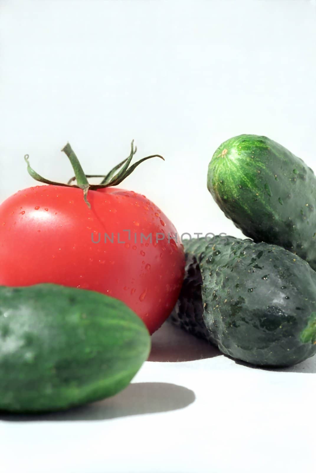 Tomato and cucumbers macro