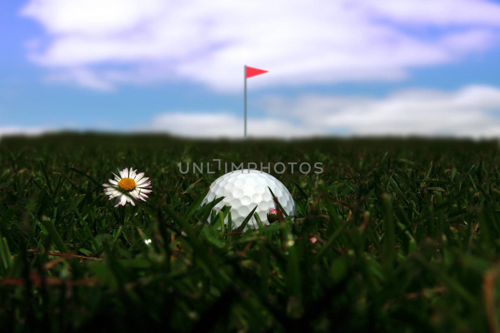 a golf ball in the rough with the flag in the distance