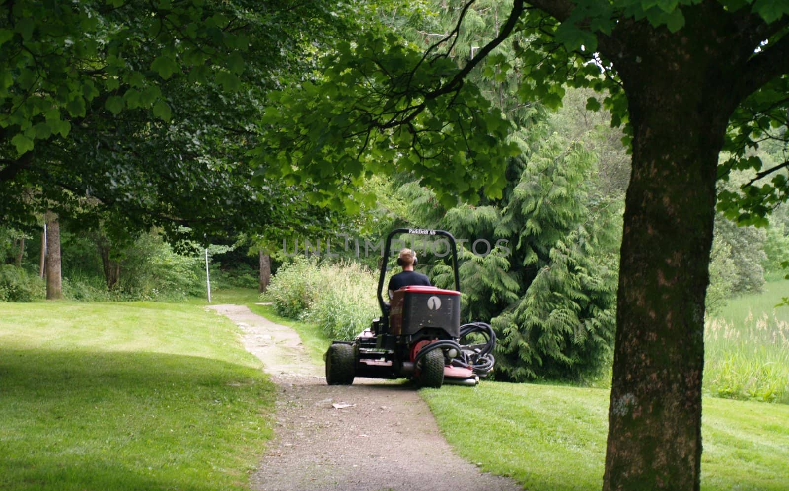 cutting grass in park