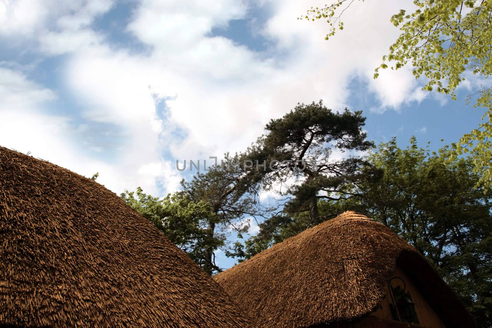 an old thatched cottage as used by farmers in early irish history in Bunratty folk park