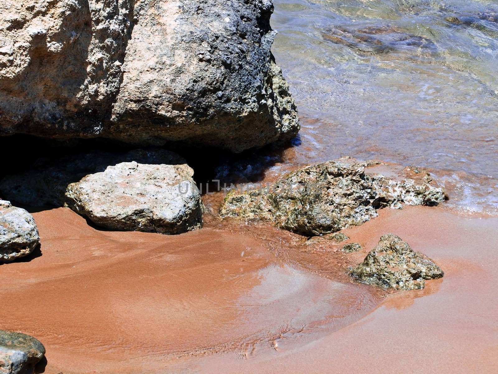 Detail of the waters edge on a tropical beach reef