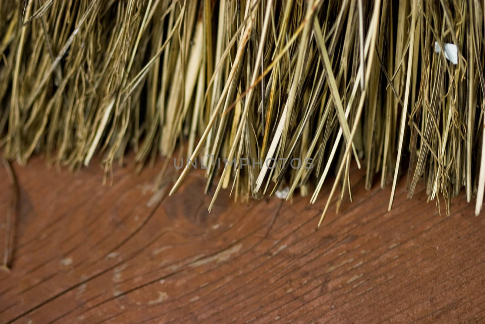 Close-up photo of the end of a straw broom