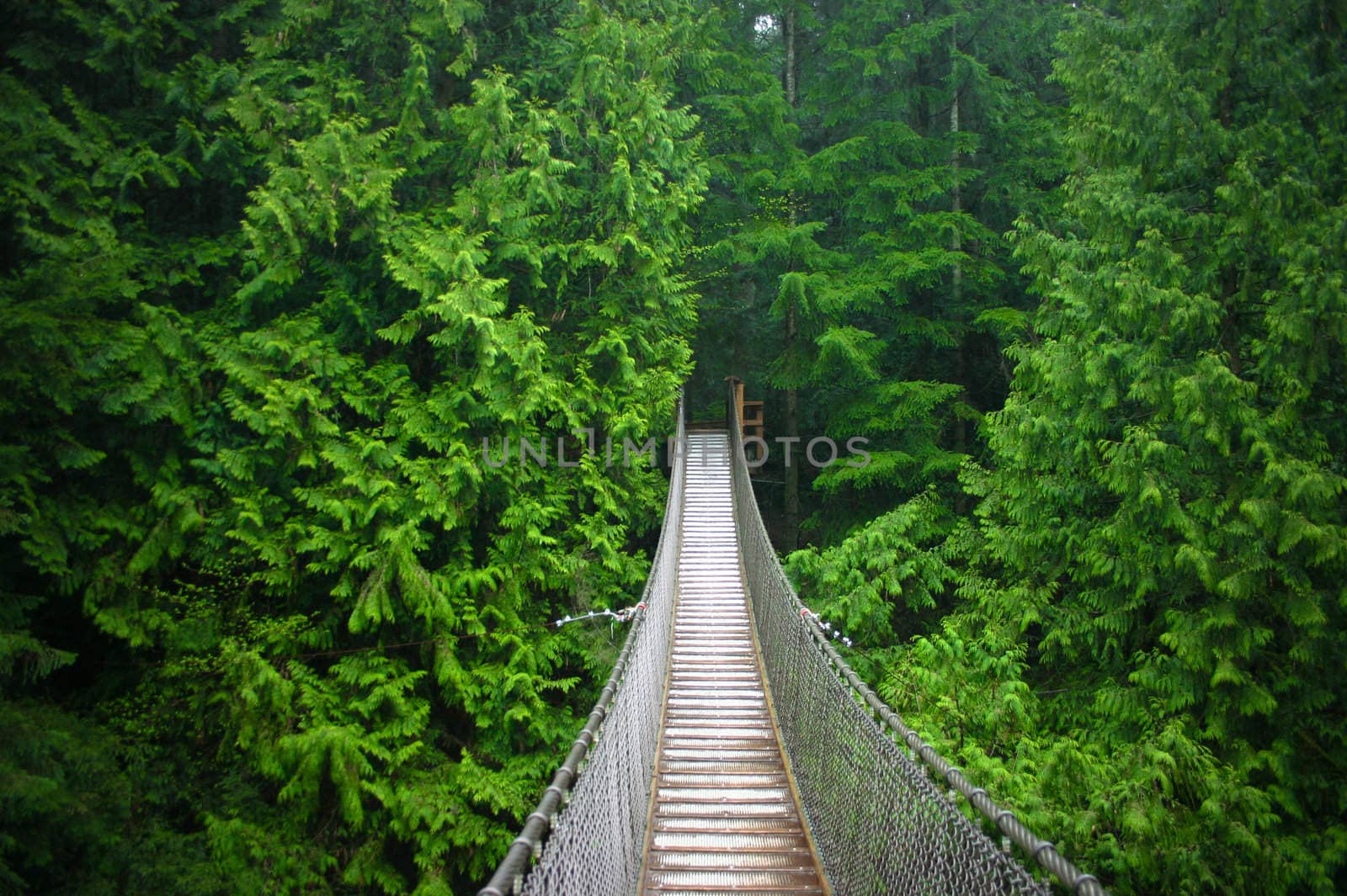 Suspension Bridge by micahbowerbank