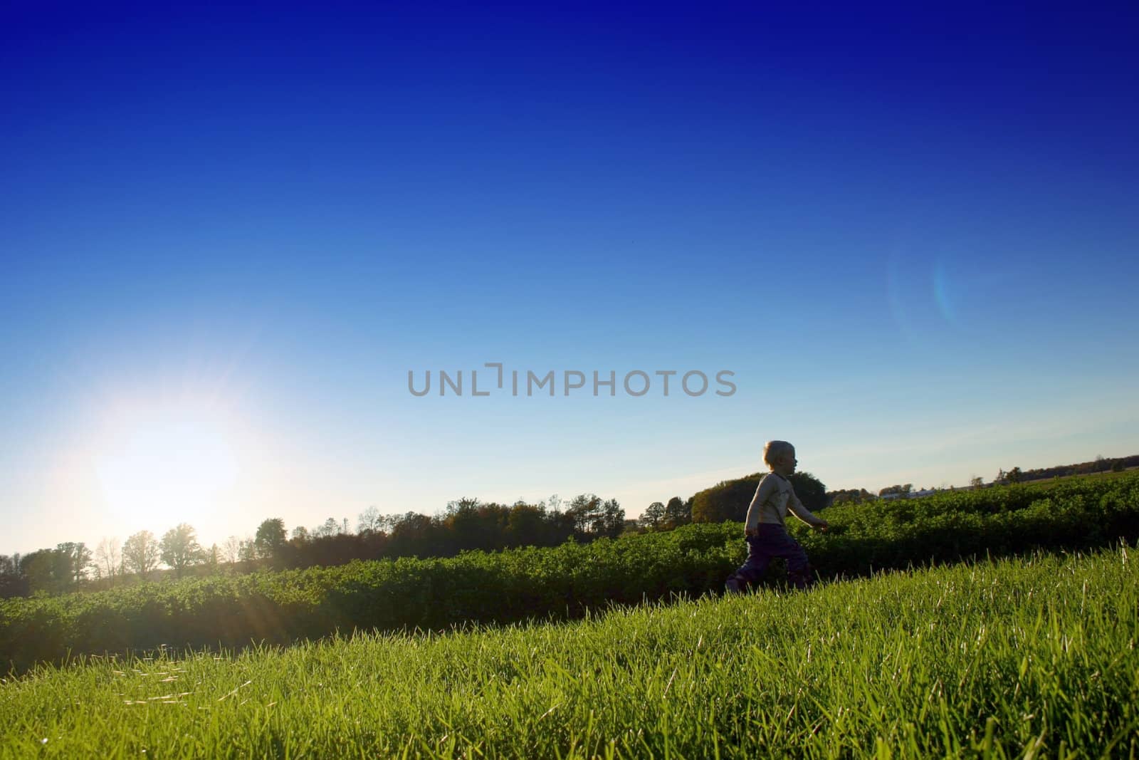 Child running through a farmer's field at sunset
