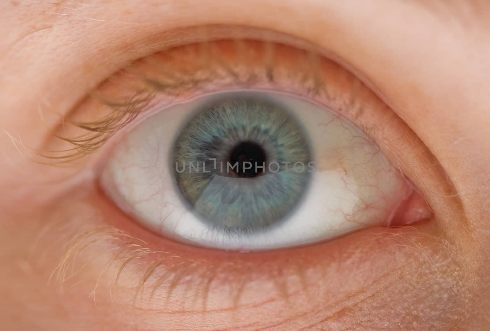 Macro close-up of a woman's eye ball