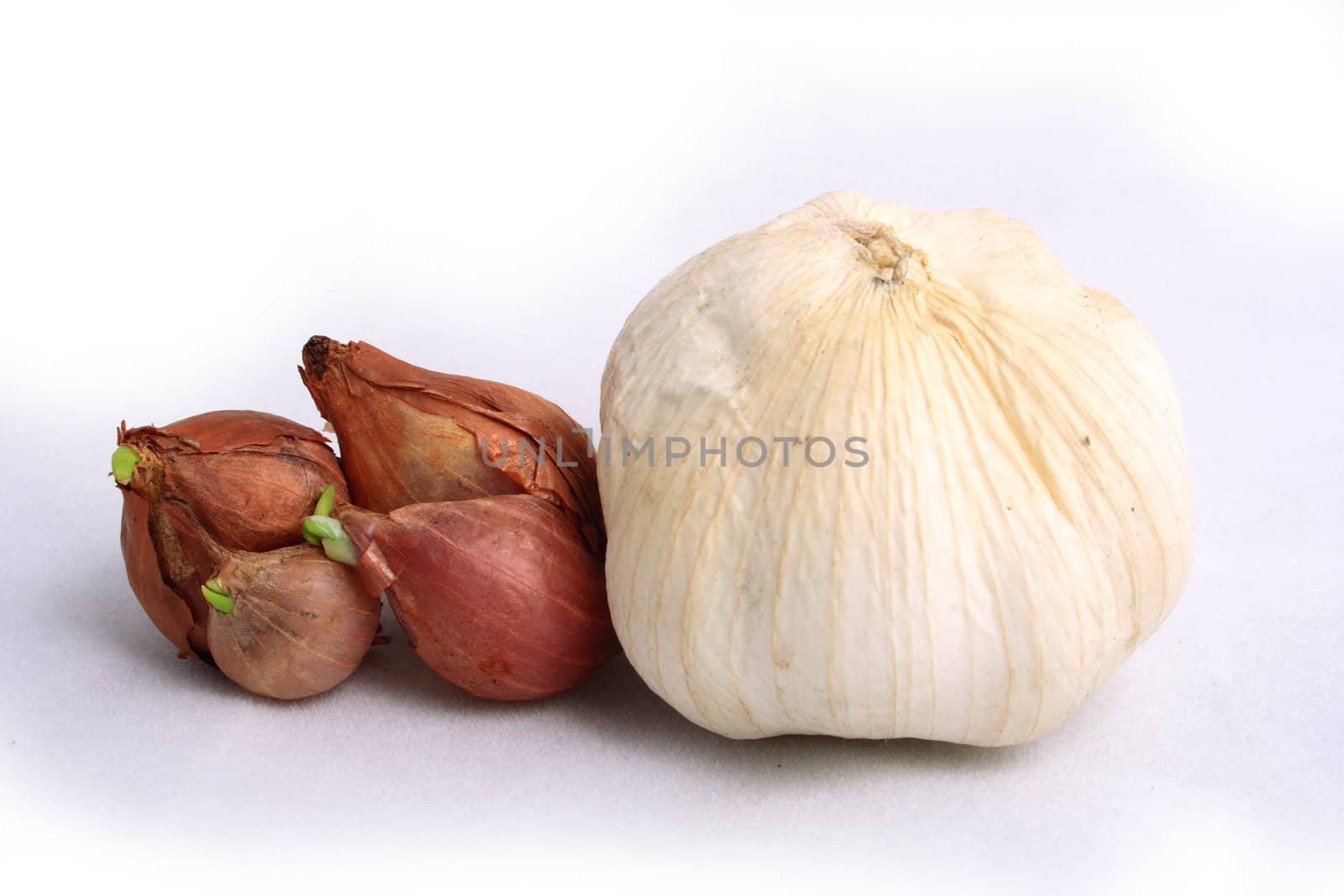Some Small onion &amp; garlic on white background.