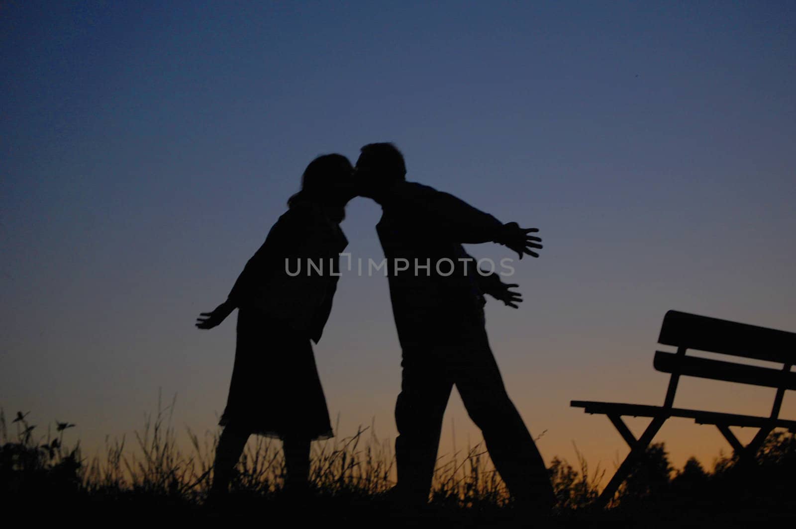 sunset in the park with shot of loving couple