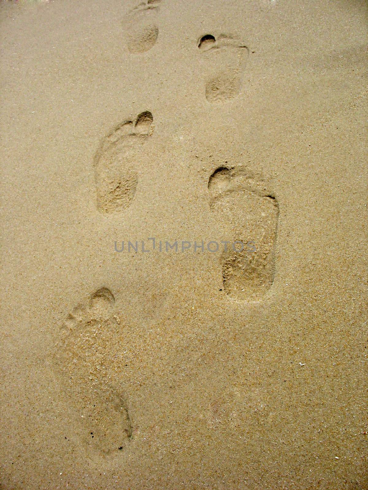 Footprints in the sand on the beach.  This can be used for a wide range of concepts.