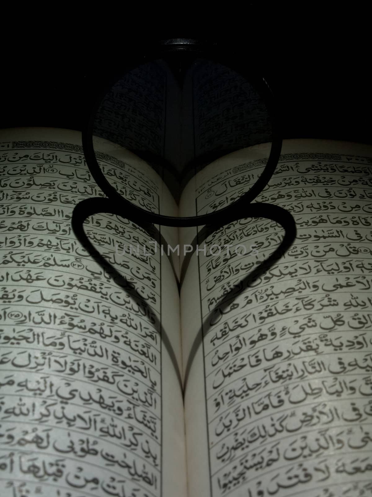 Al Qur'an and the shadow of love.