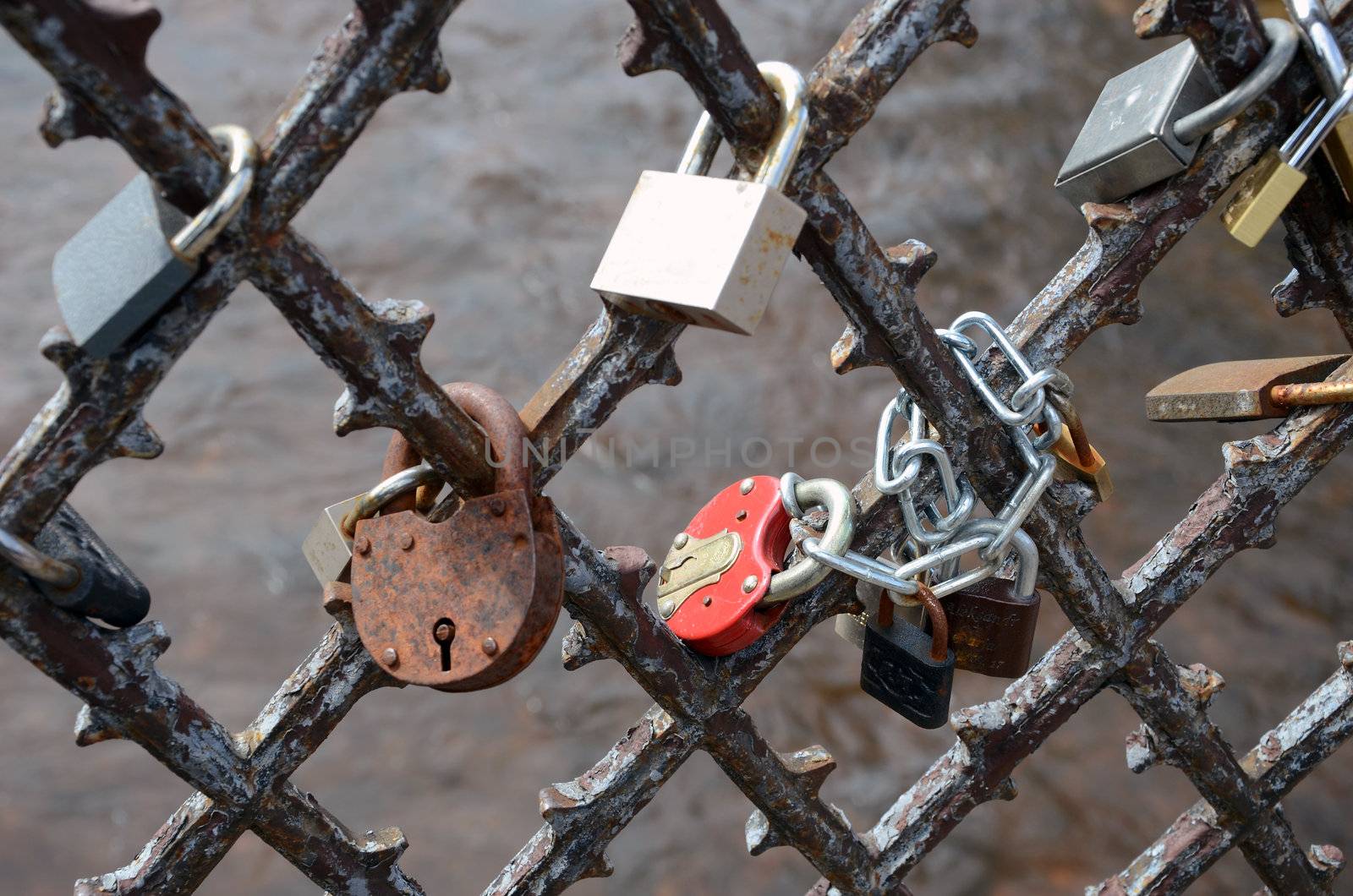 Locks of married lovers on the river bridge in Vilnius, Lithuania.