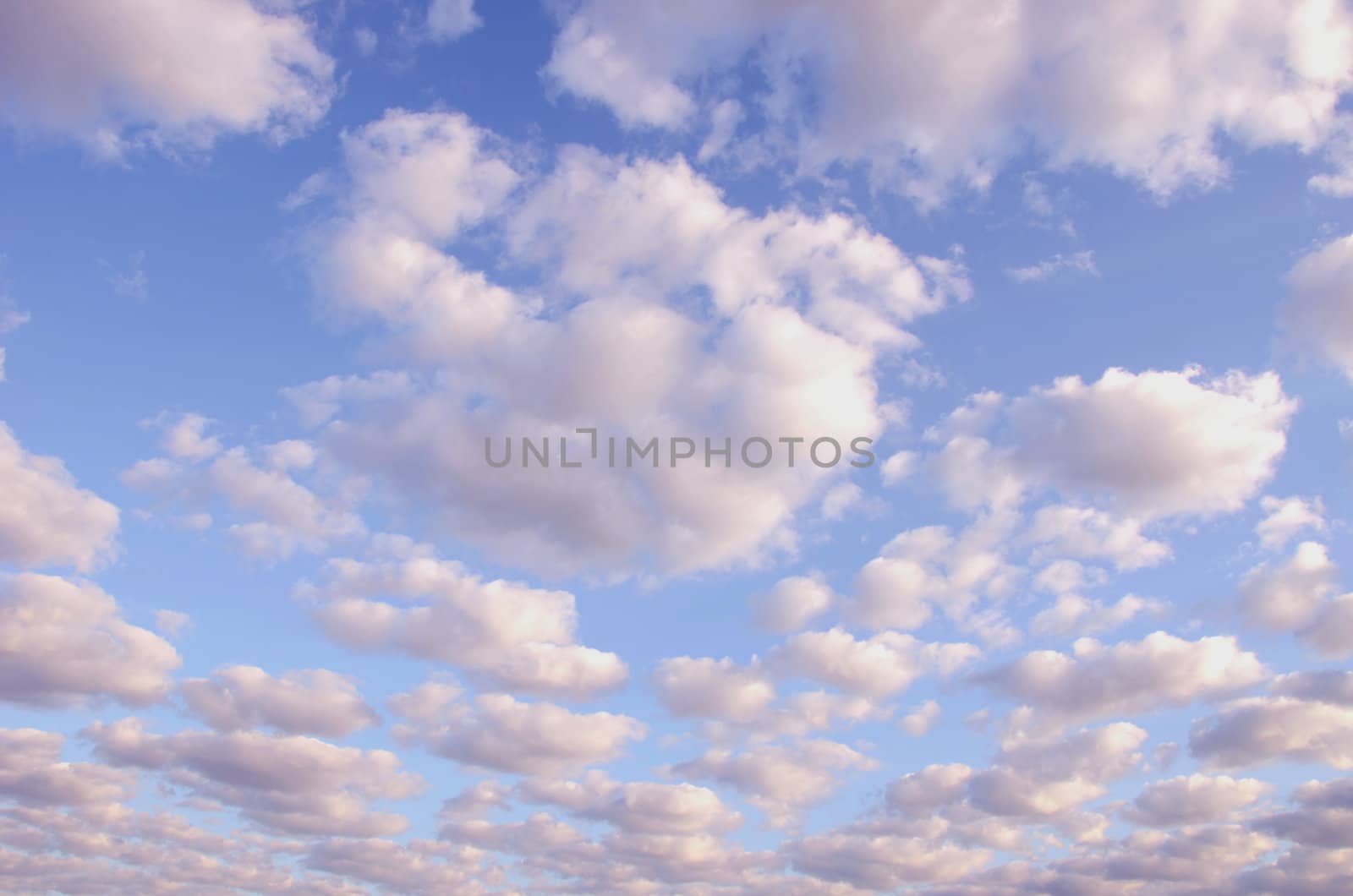 Sunny morning sky full of clouds. by sauletas