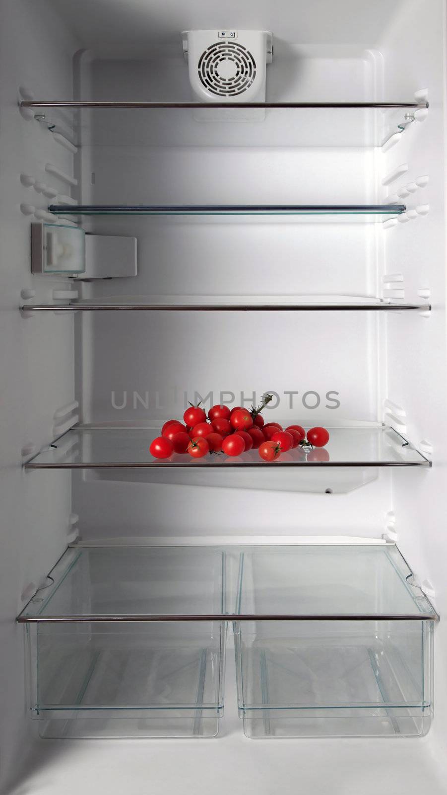 Empty refrigerator with fresh tomatos