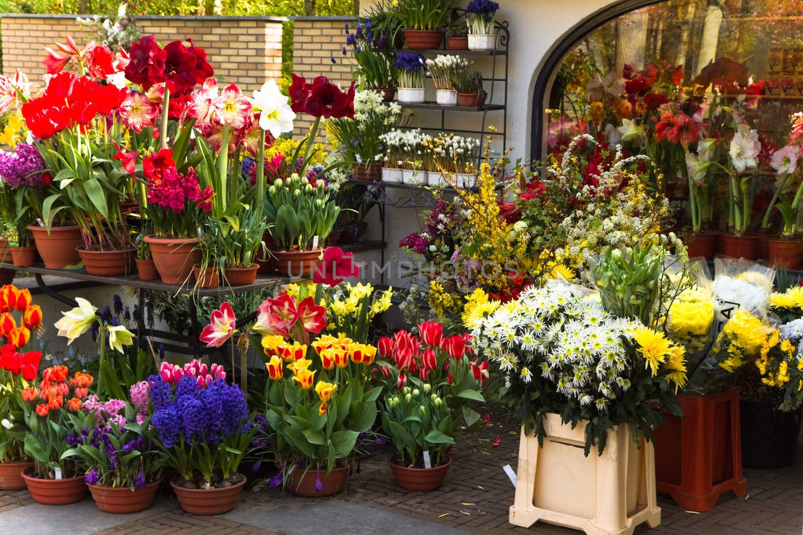 Decorative collection of colorful spring flowers outside a florist shop