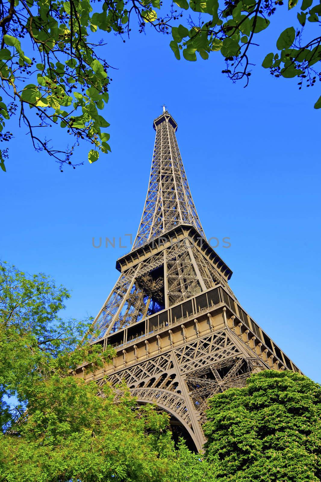 Eiffel tower by kjorgen