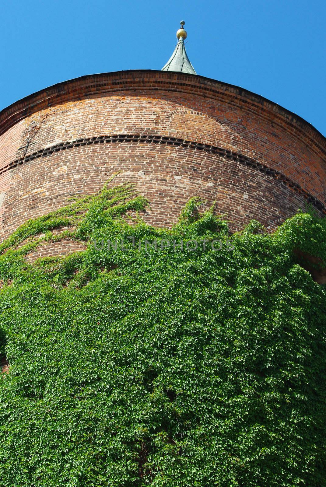 Ivy Covered Historic Tower in Riga, Latvia by Vitamin