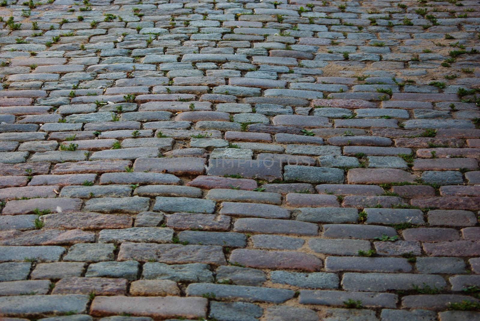 Old stone pavement background in Riga, Latvia
