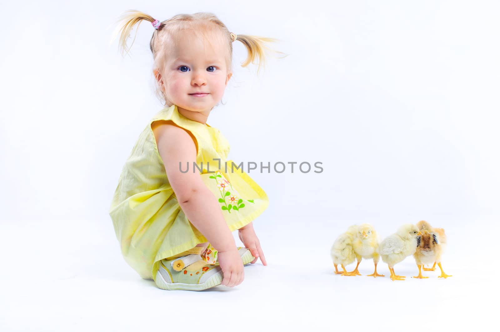 Cute little baby girl in a yellow dress with really live chickens. In the studio. Isolated