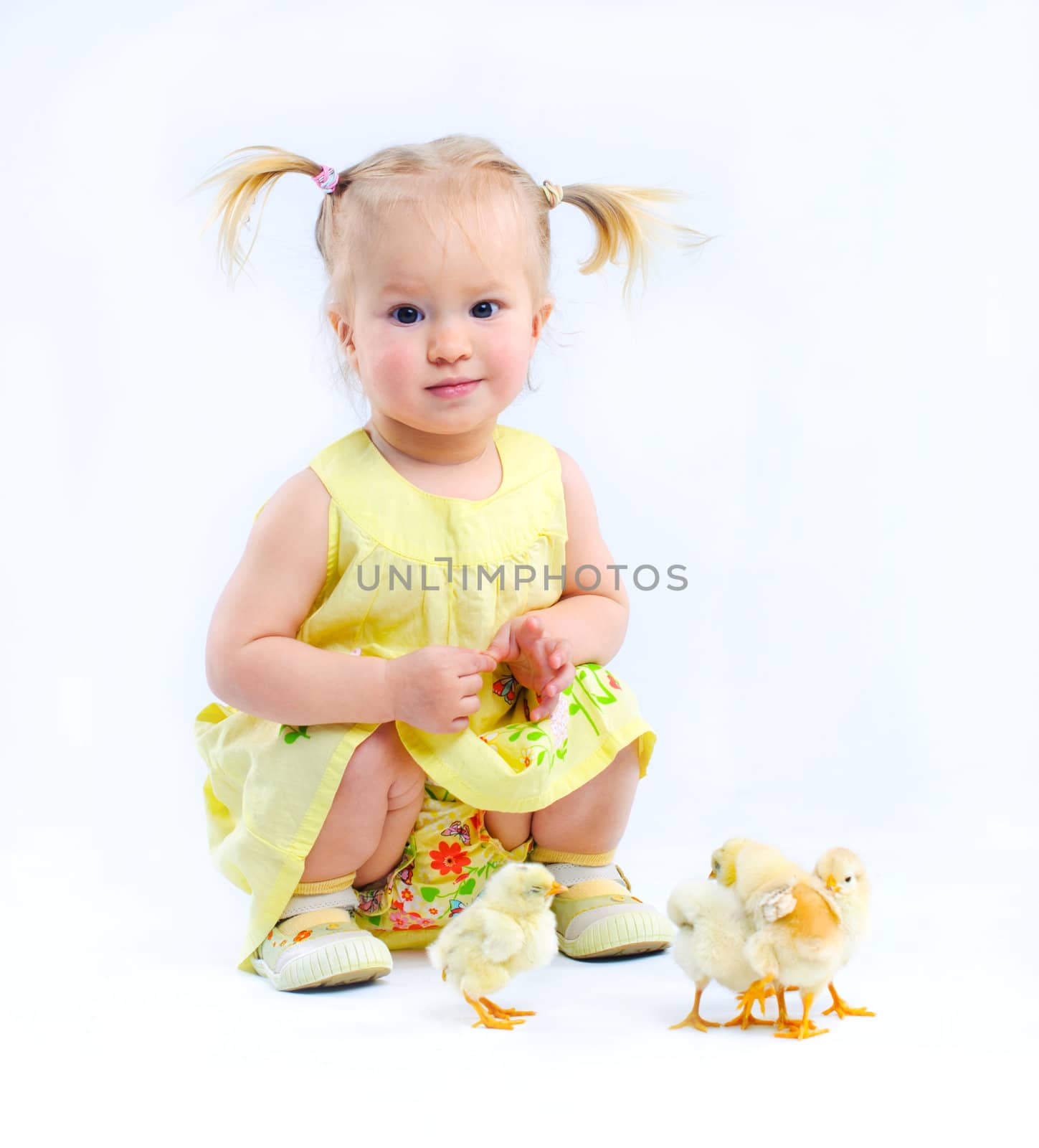 Cute little baby girl in a yellow dress with really live chickens. In the studio. Isolated