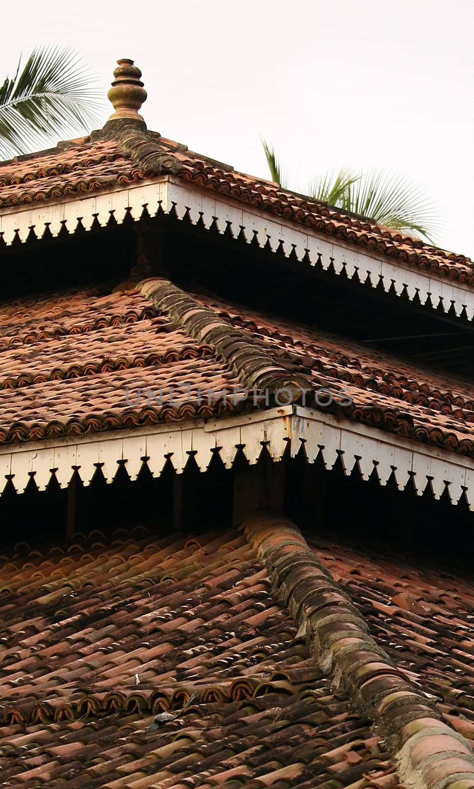 tiled roof of a Buddhist structure