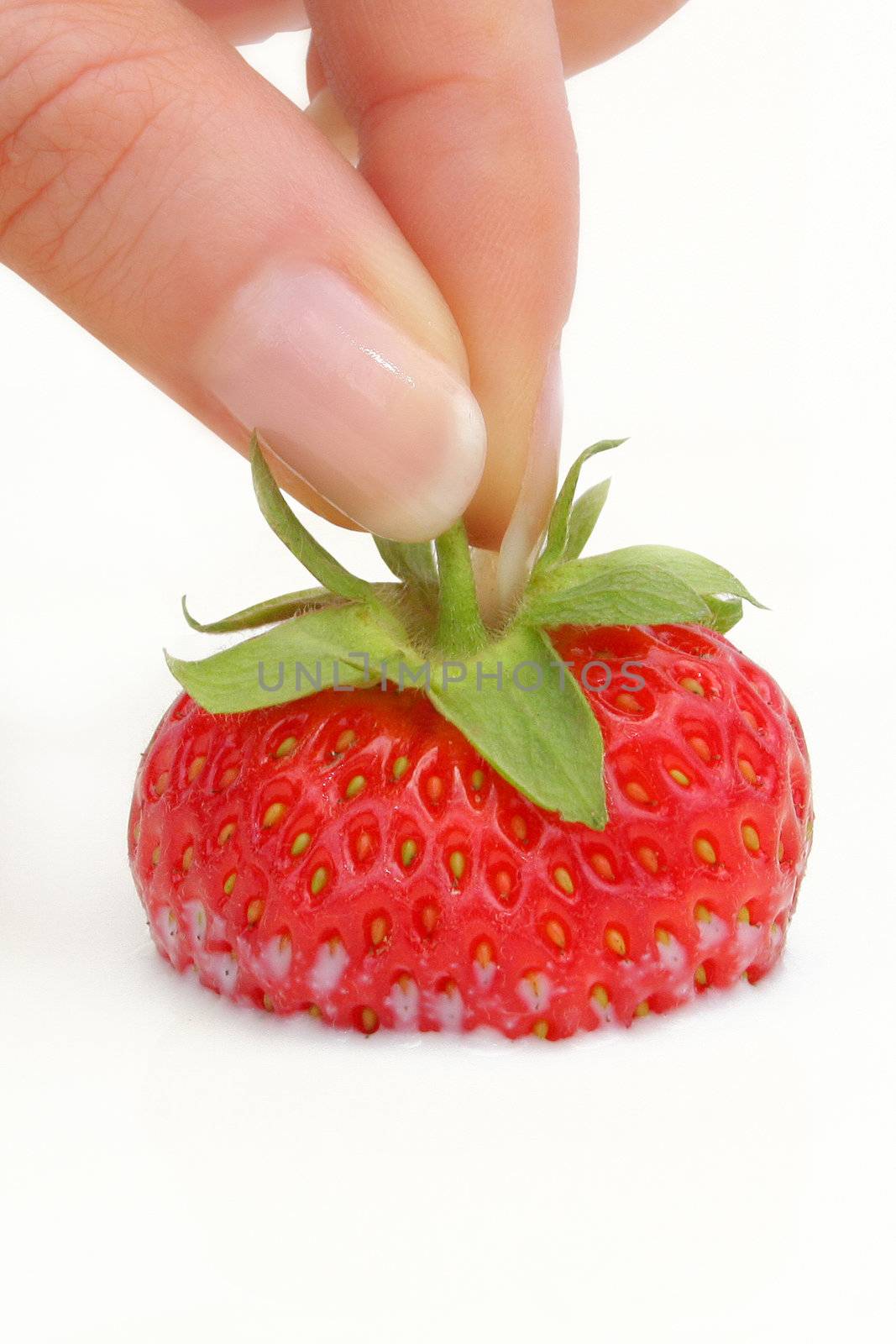 ripe strawberries in the fingers of a girl