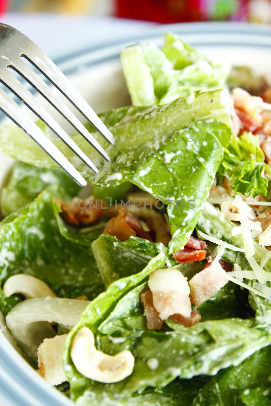 Delicious caesar salad with fork