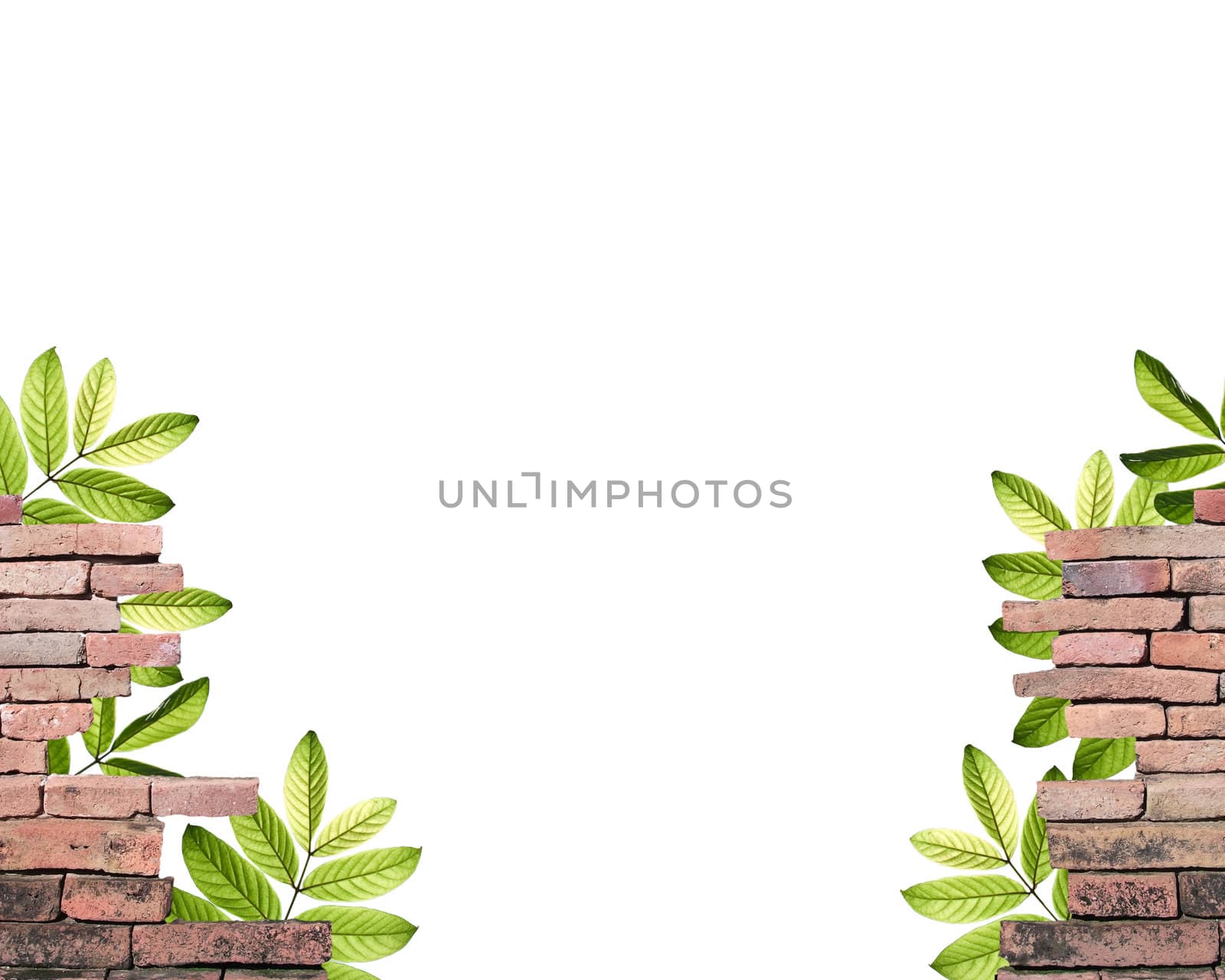 Parapet with beautiful green leafs isolate on white background