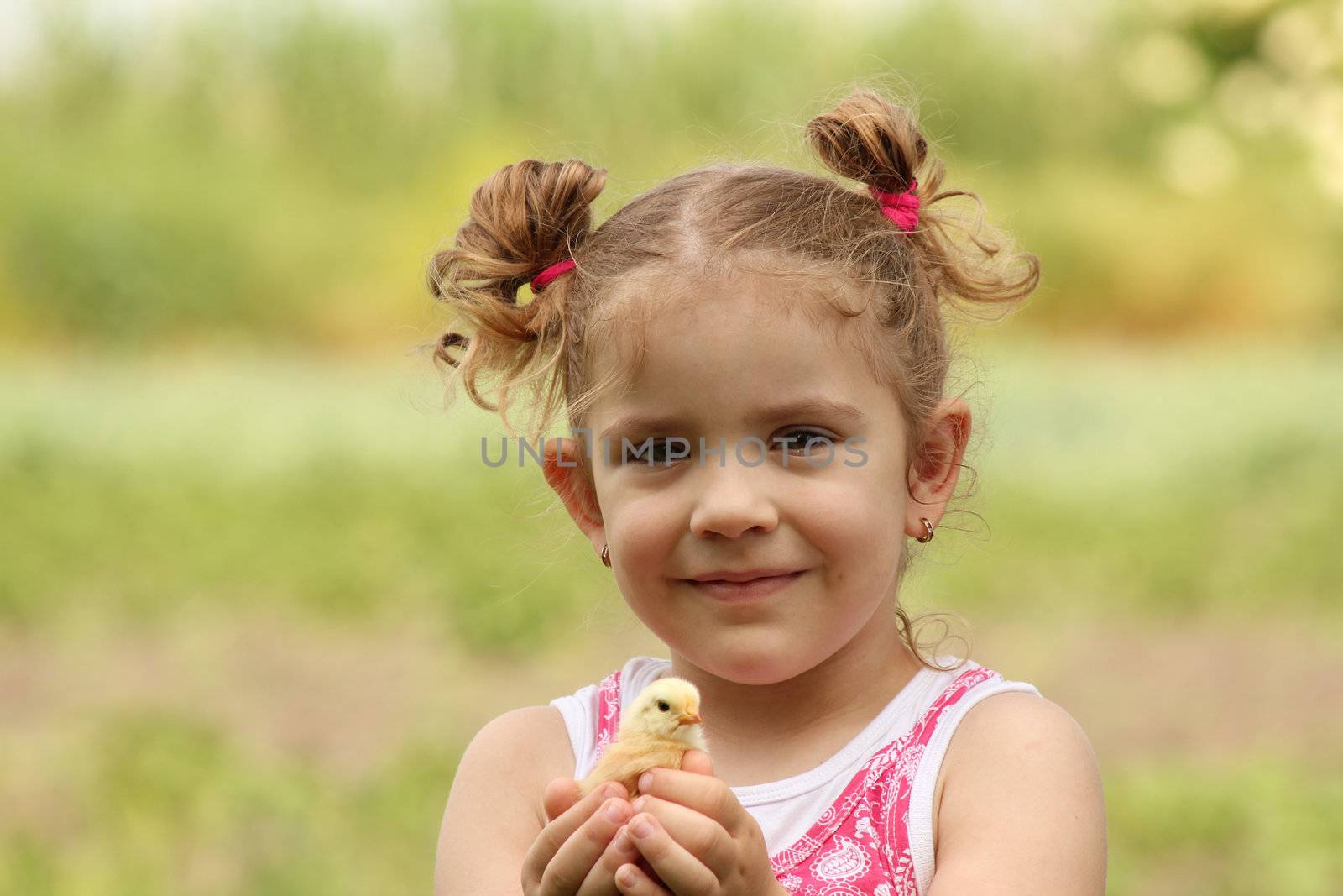 young girl holding yellow little chicken by goce
