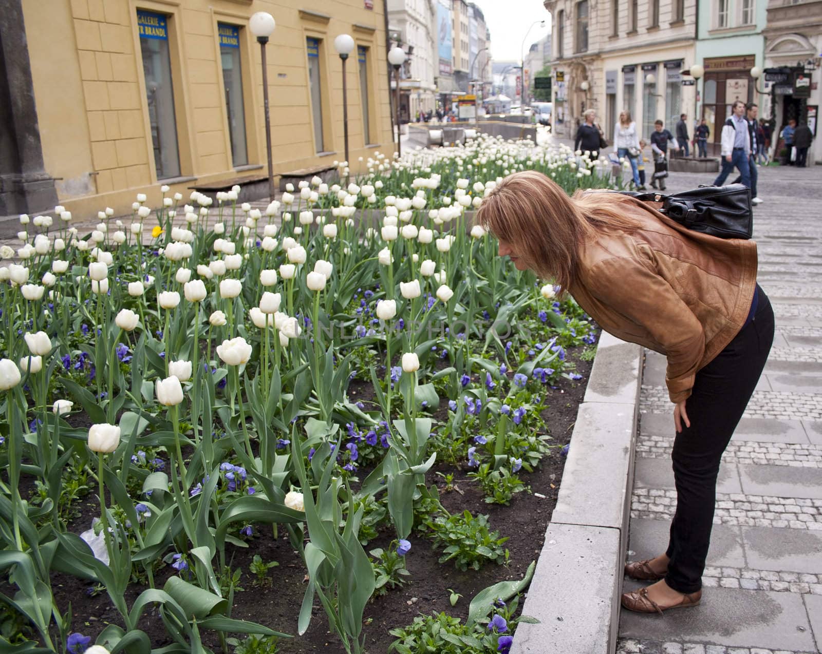 beautiful girl and flowers, looking at the flowers,