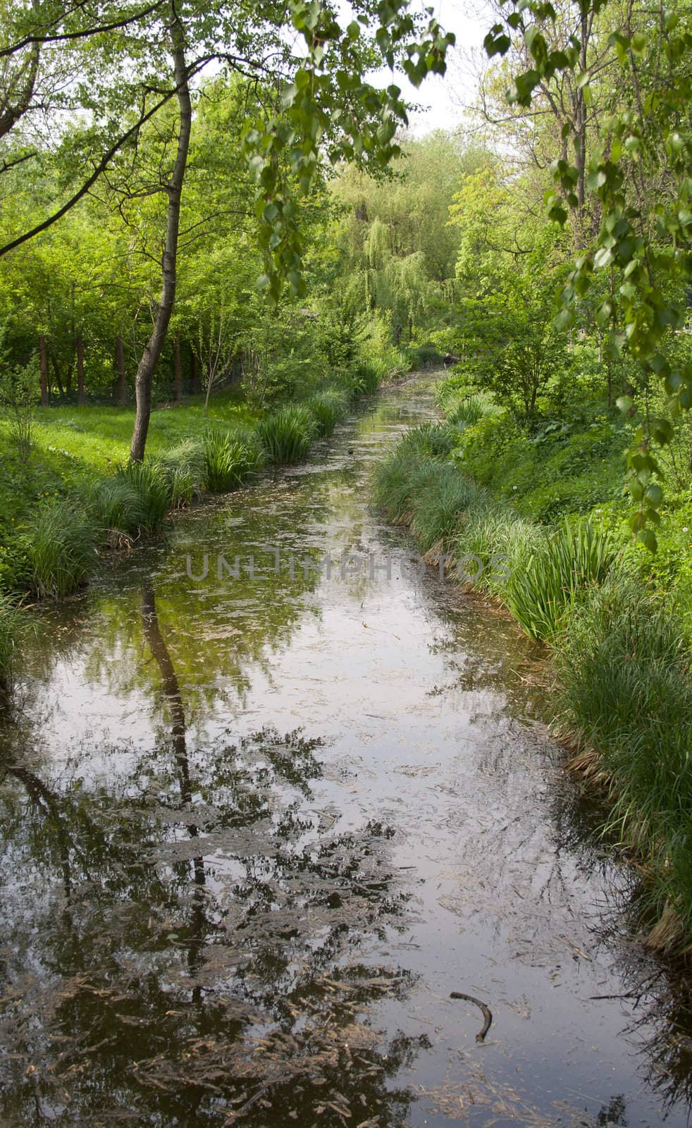 reflection in the water. Spring look. top view. park for recreation