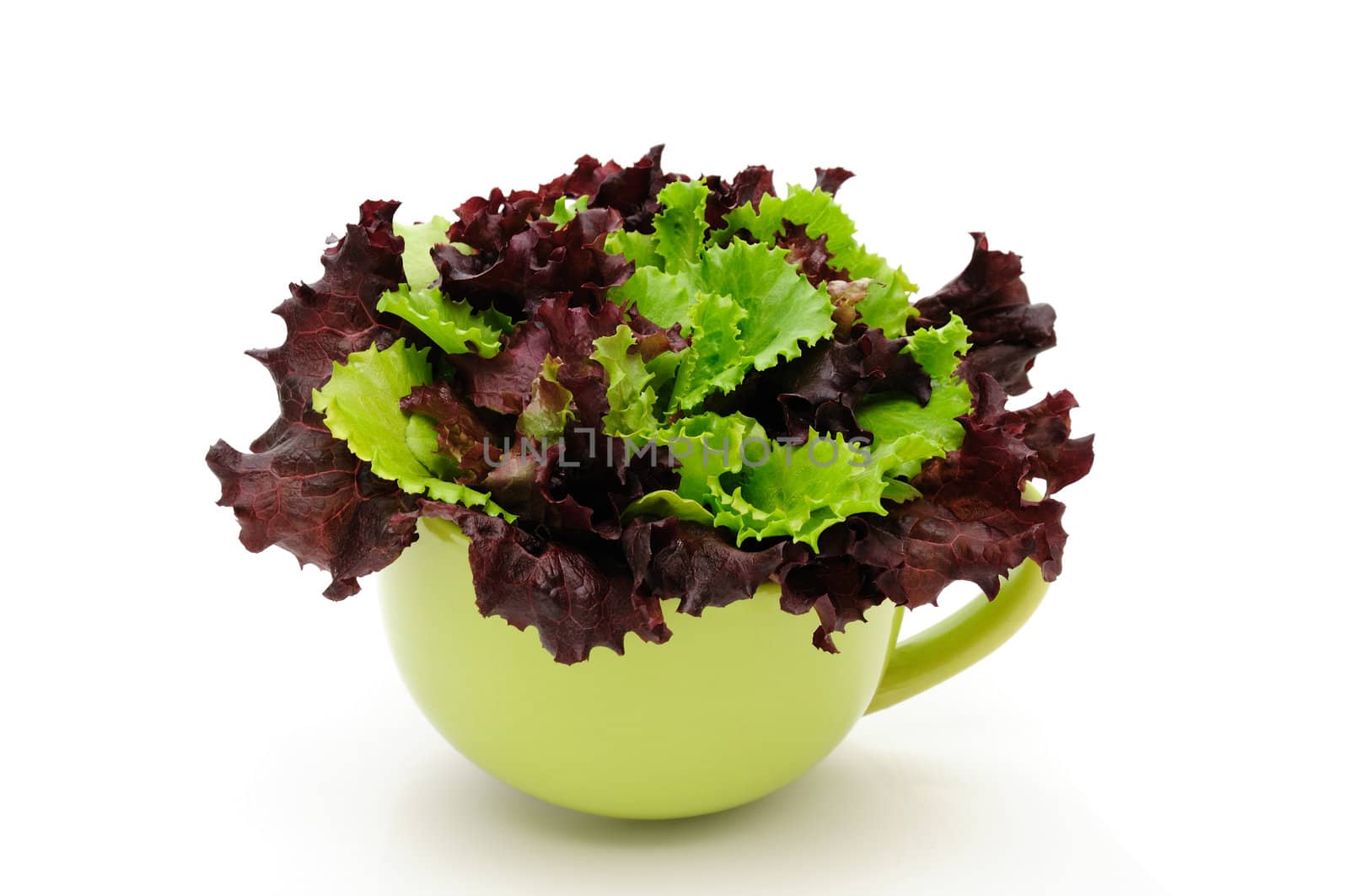Lettuce leaves in a bowl by Apolonia