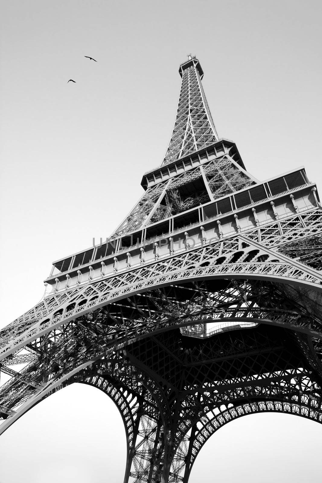 Eiffel tower by kjorgen