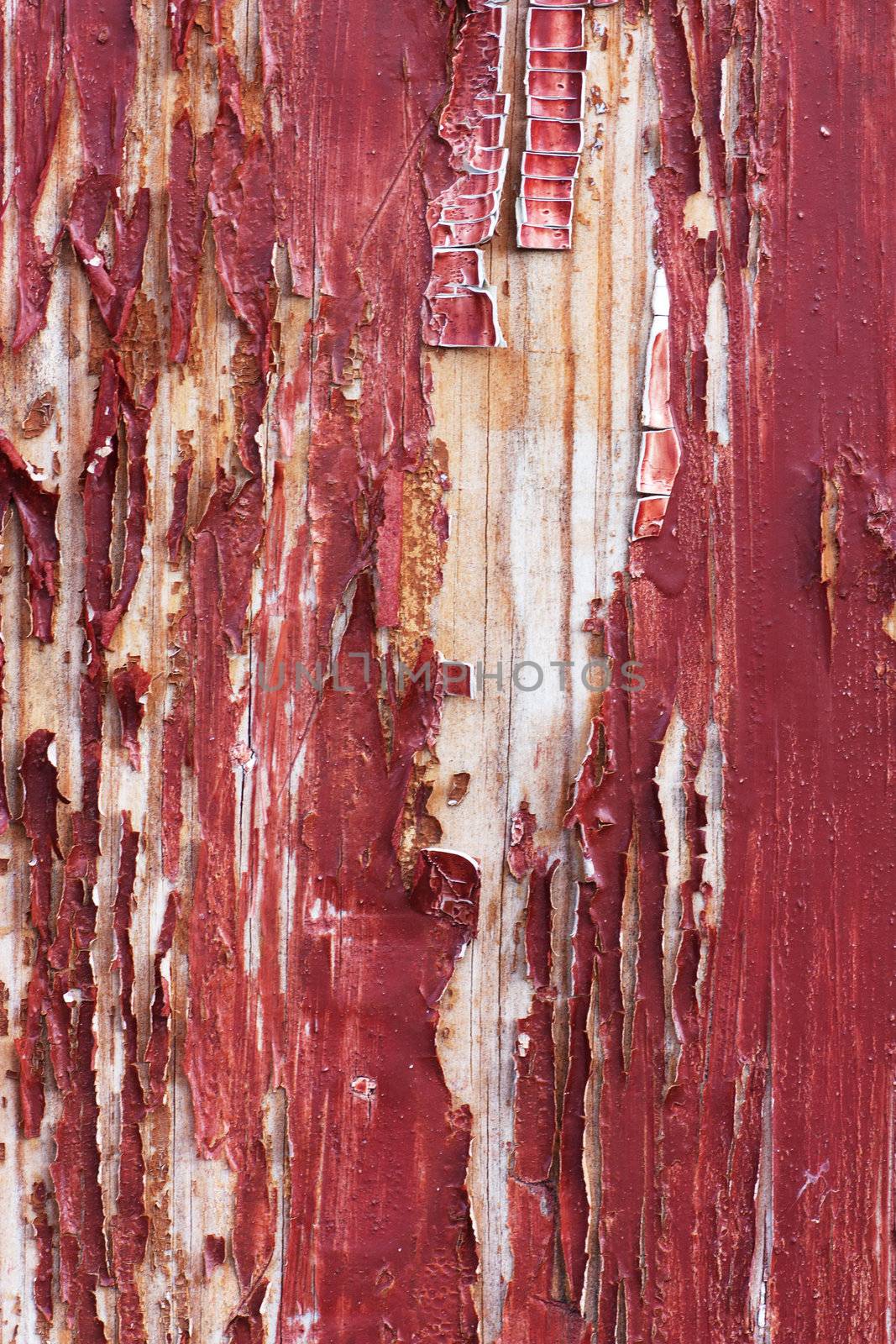 Peeling paint on an old wood wall