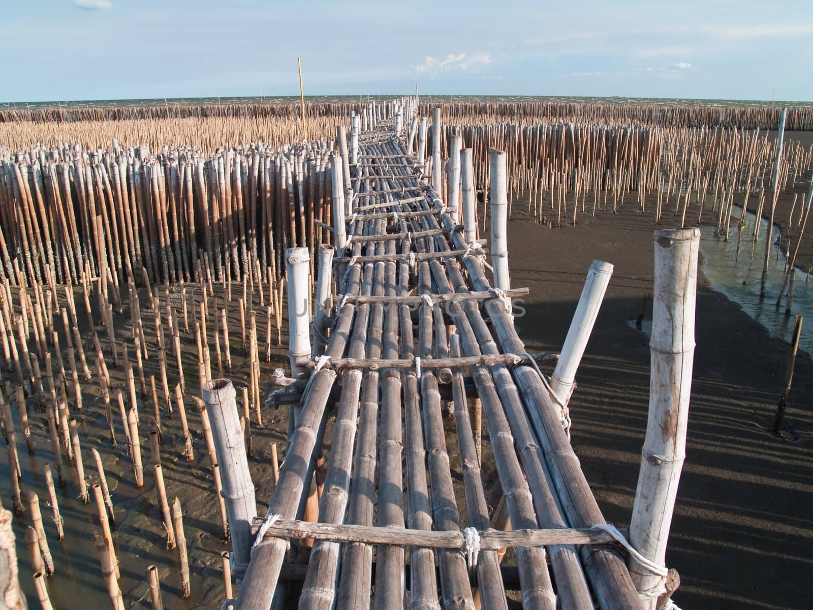 Bamboo bridge in mangrove educational center on the east coast of Maharchai bay, Maharchai , Samut Sakhon, Thailand