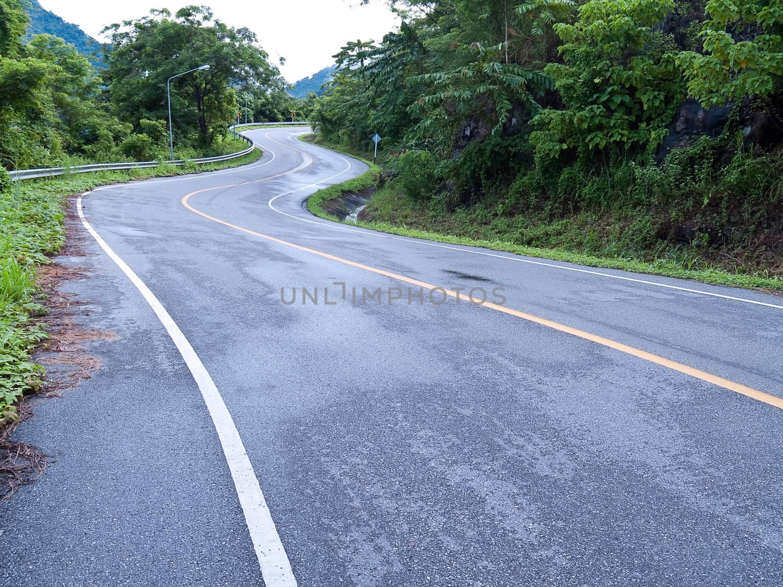 Road curves pass through the mountain and forest