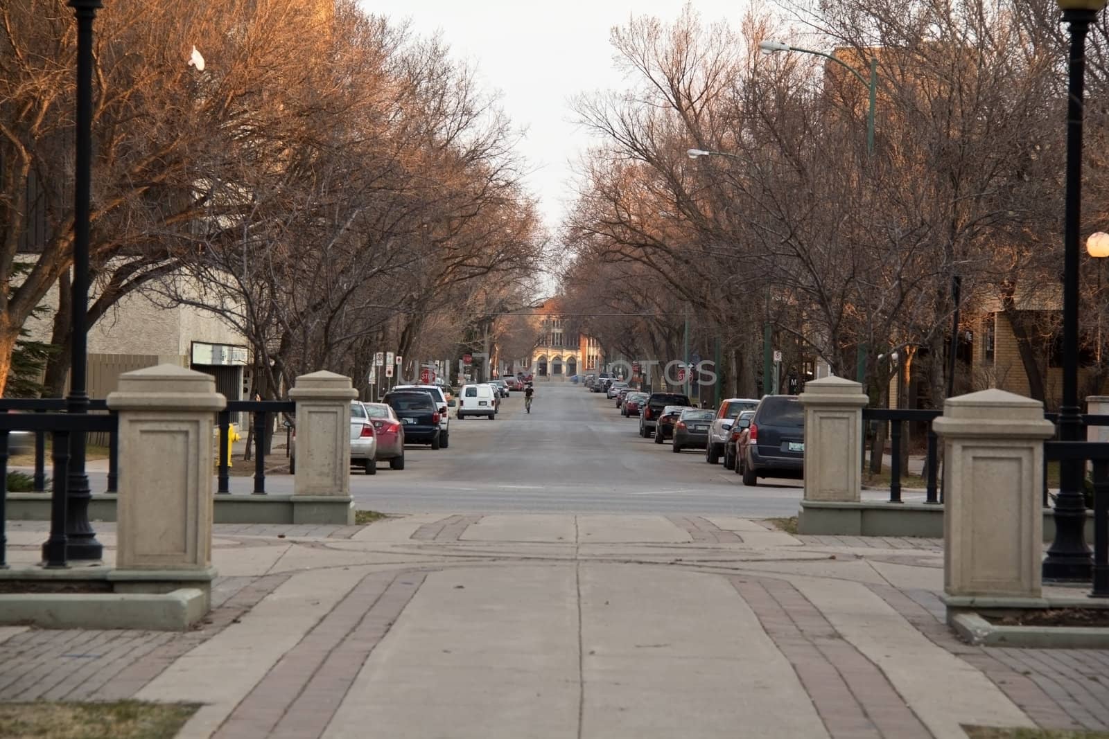 Deserted street in downtown regina by derejeb