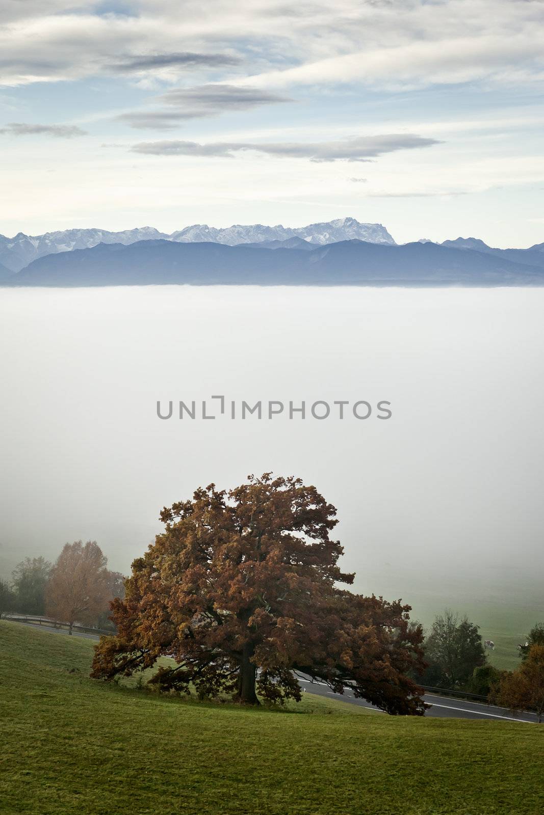 An image of a nice autumn landscape with the alps in the background