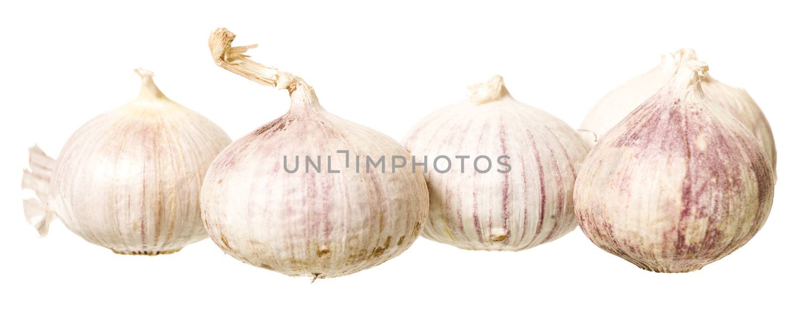 Bunch of  Garlic isolated on white Background