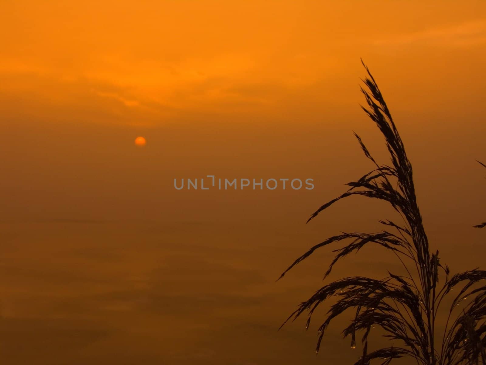 Sunrise over lake in winter. Iced lake are coverd by frog.