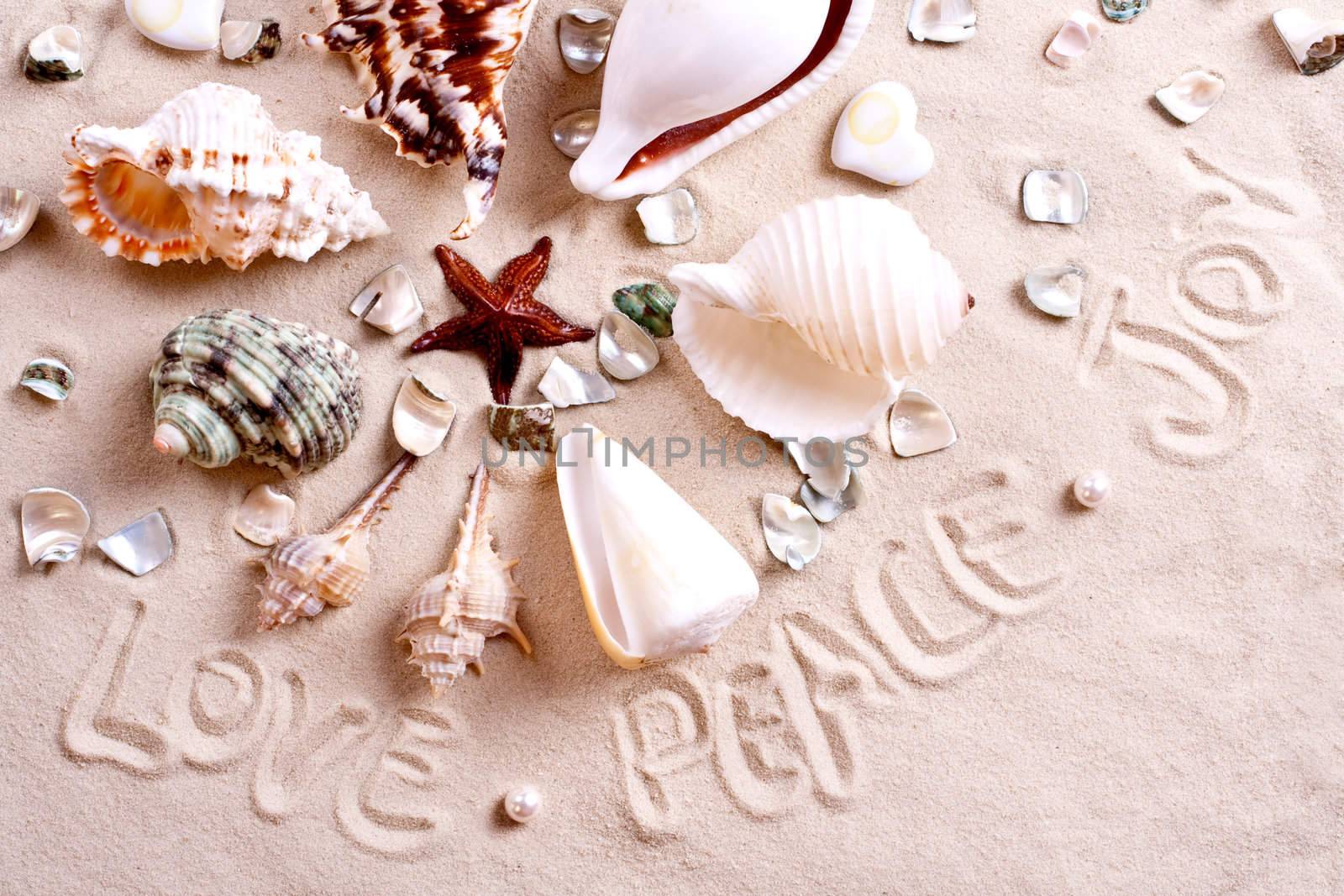 seashells in sand with text as a background