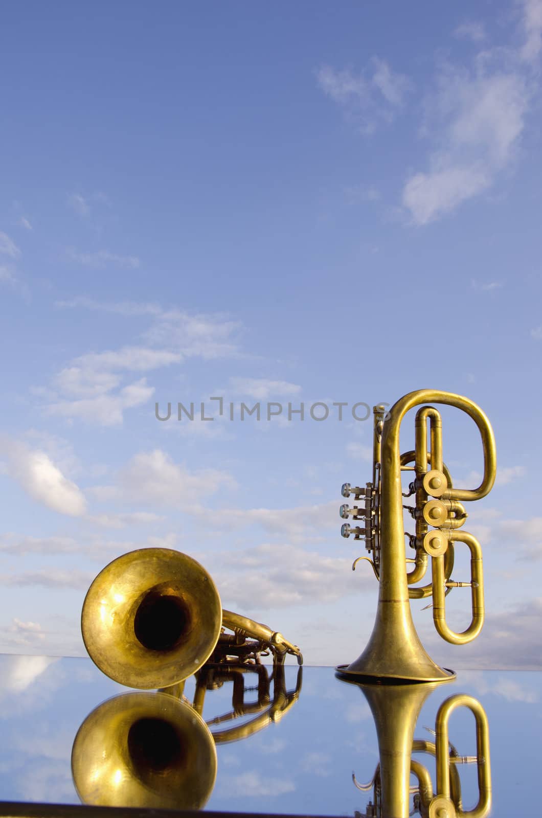 two retro wind instrument on the mirror by alis_photo