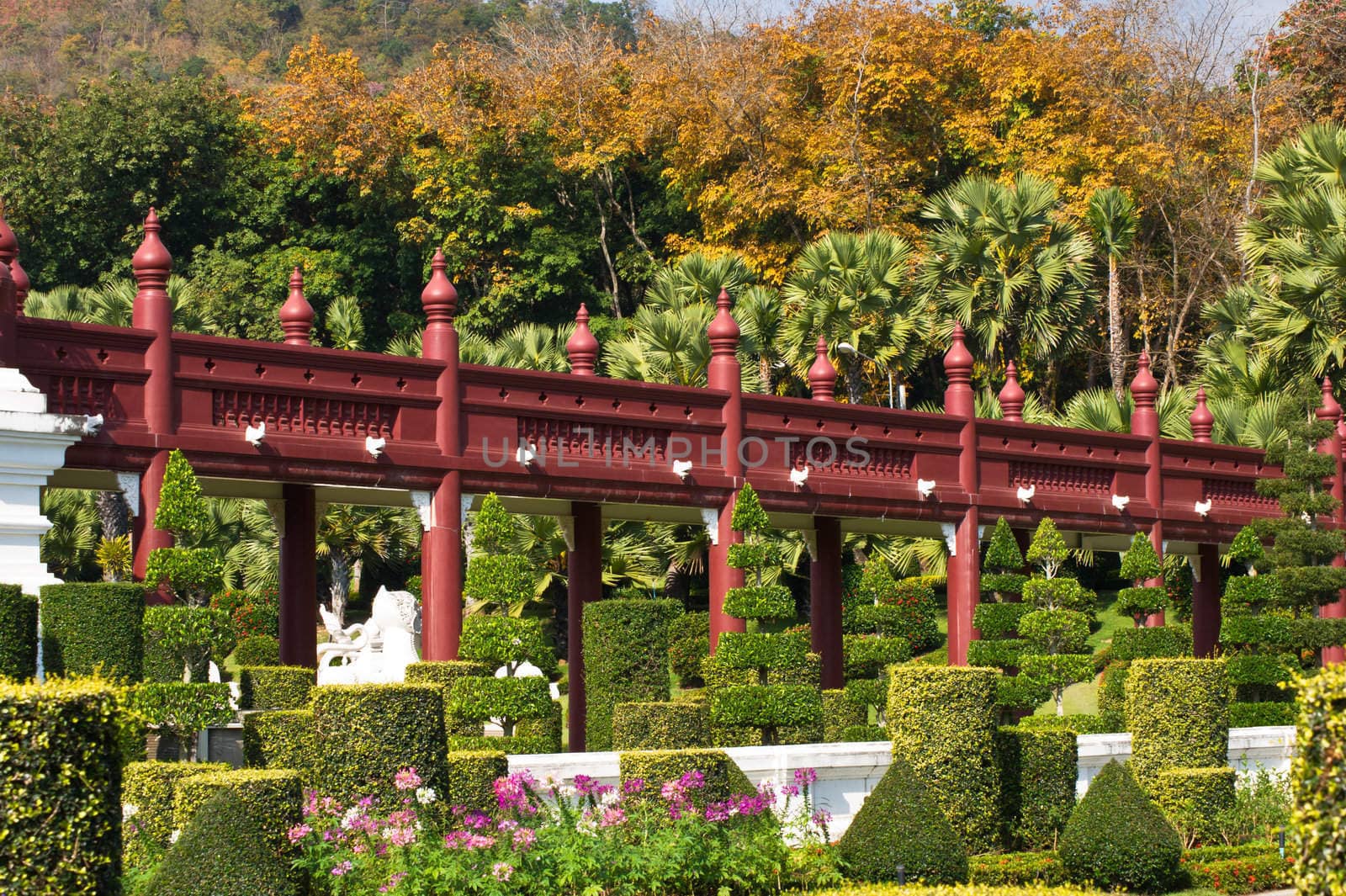 Red wooden bridge in the garden by pigdevilphoto