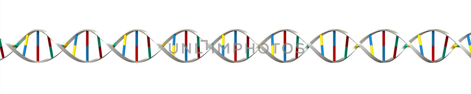 Render of DNA isolated on white background