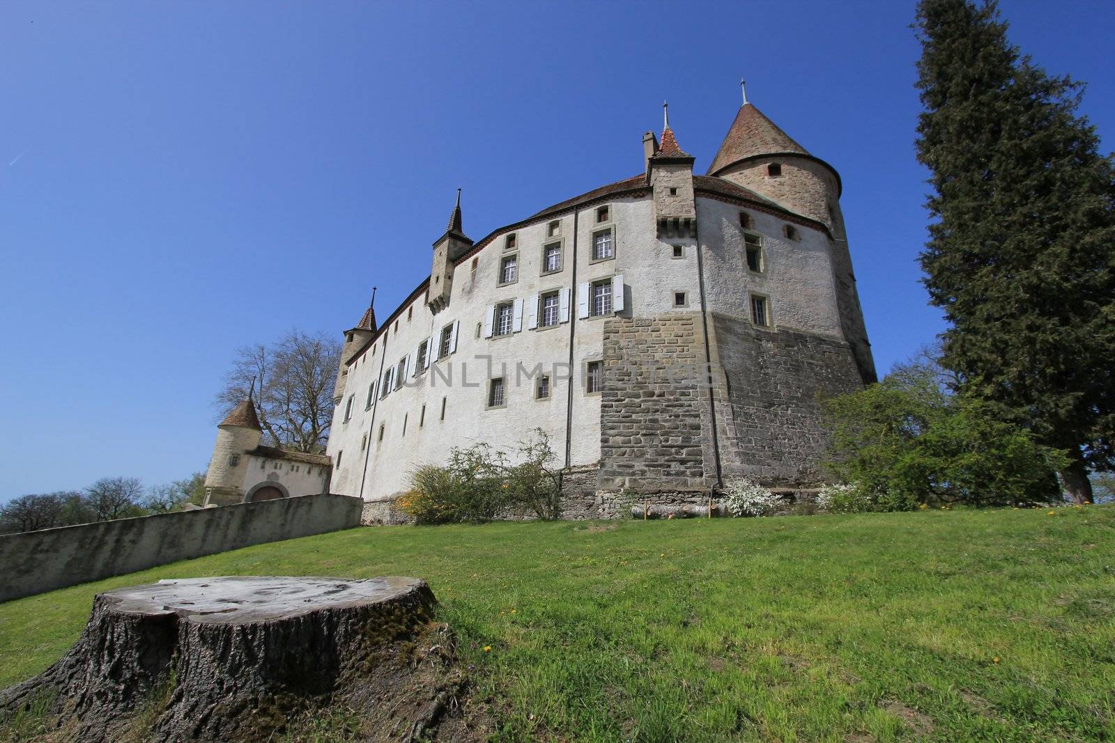 Old castle of Oron by beautiful weather, Vaud canton, Switzerland, next to a cut trunk
