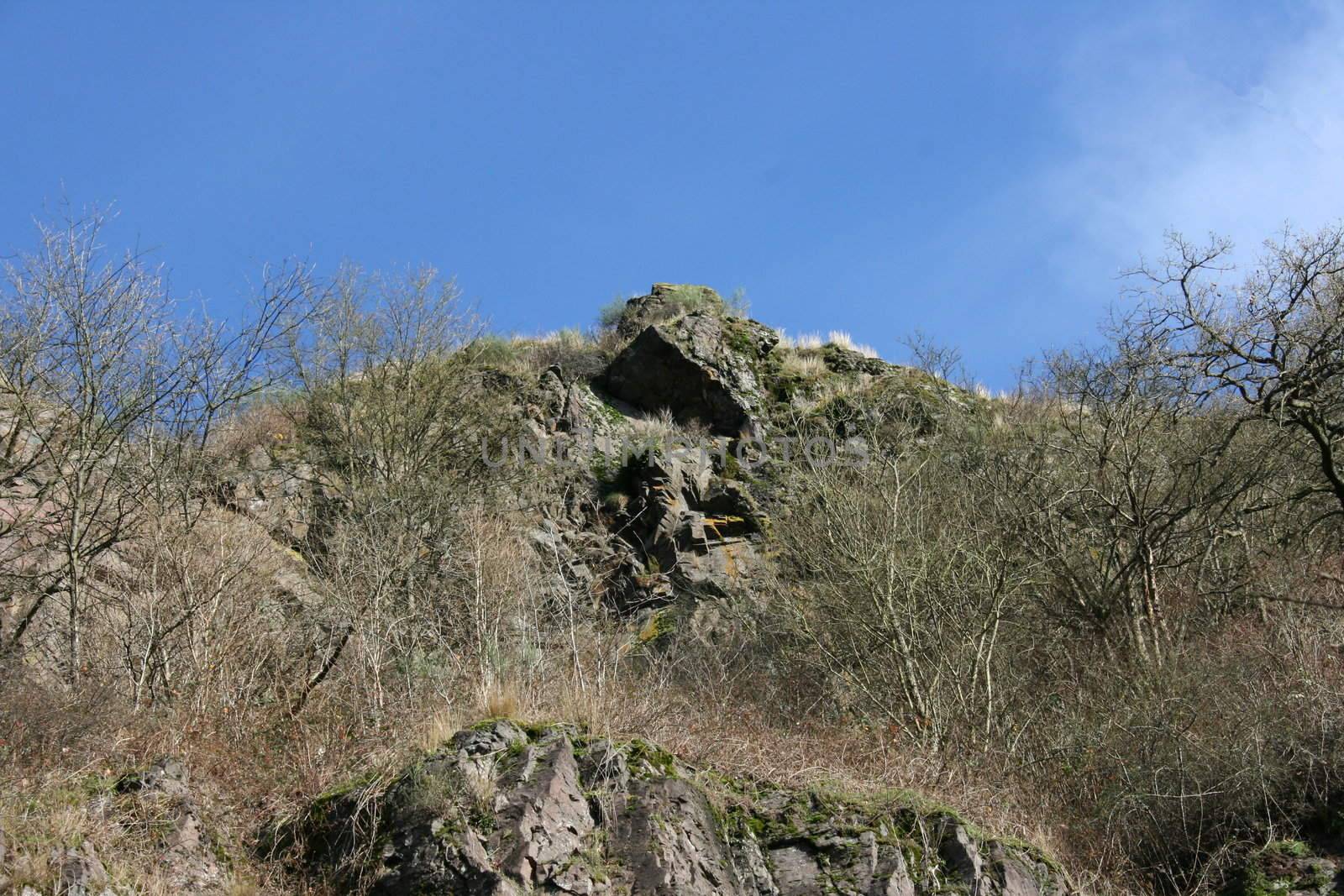 Felsen mit kargen Bewuchs aus der Froschperspektive gesehen    Rocks with sparse vegetation as seen from the frog perspective 