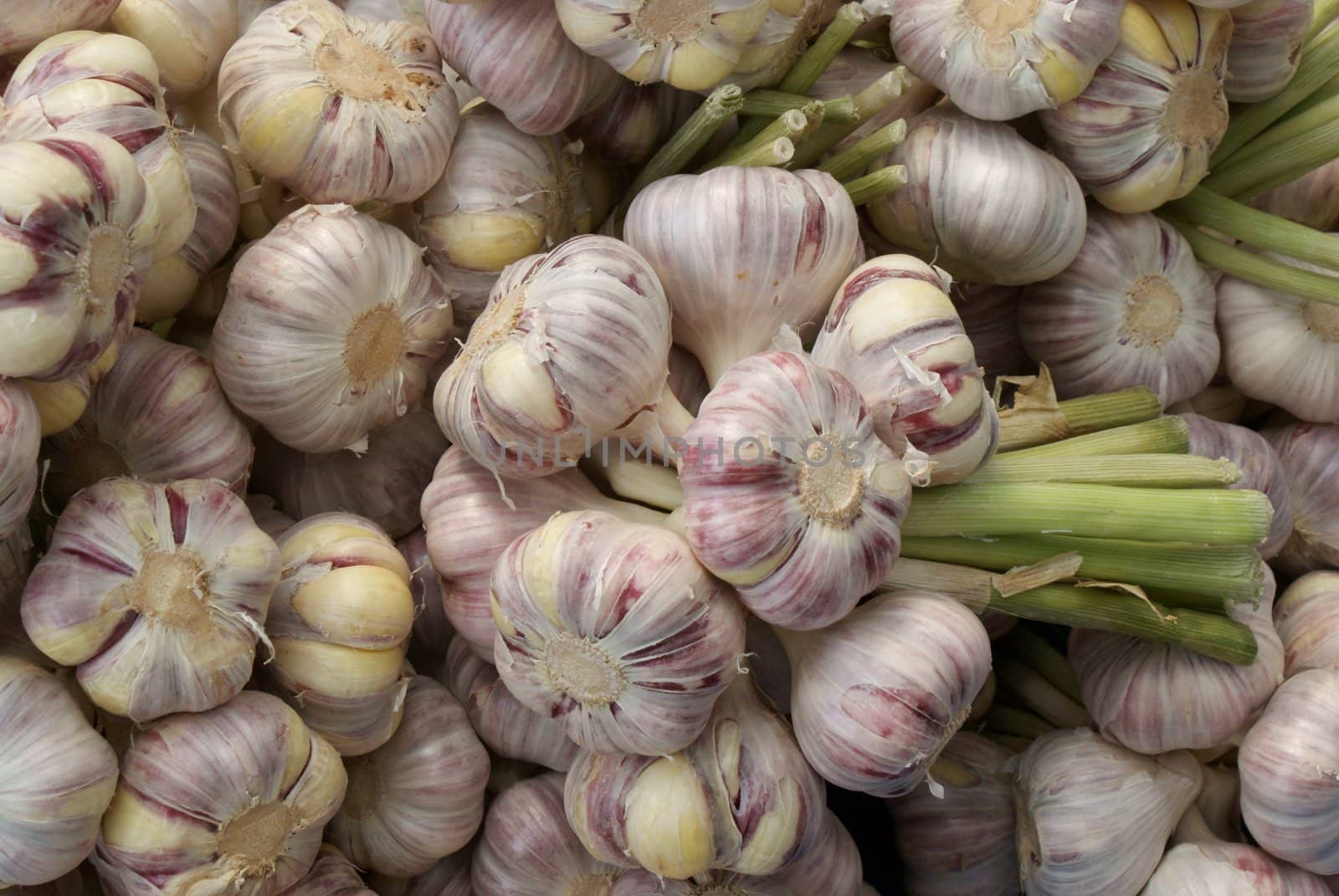  bunches of garlic by RAIMA